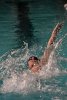 Swimming vs Babson  Wheaton College Swimming vs Babson College. - Photo By: KEITH NORDSTROM : Wheaton, Swimming, Babson